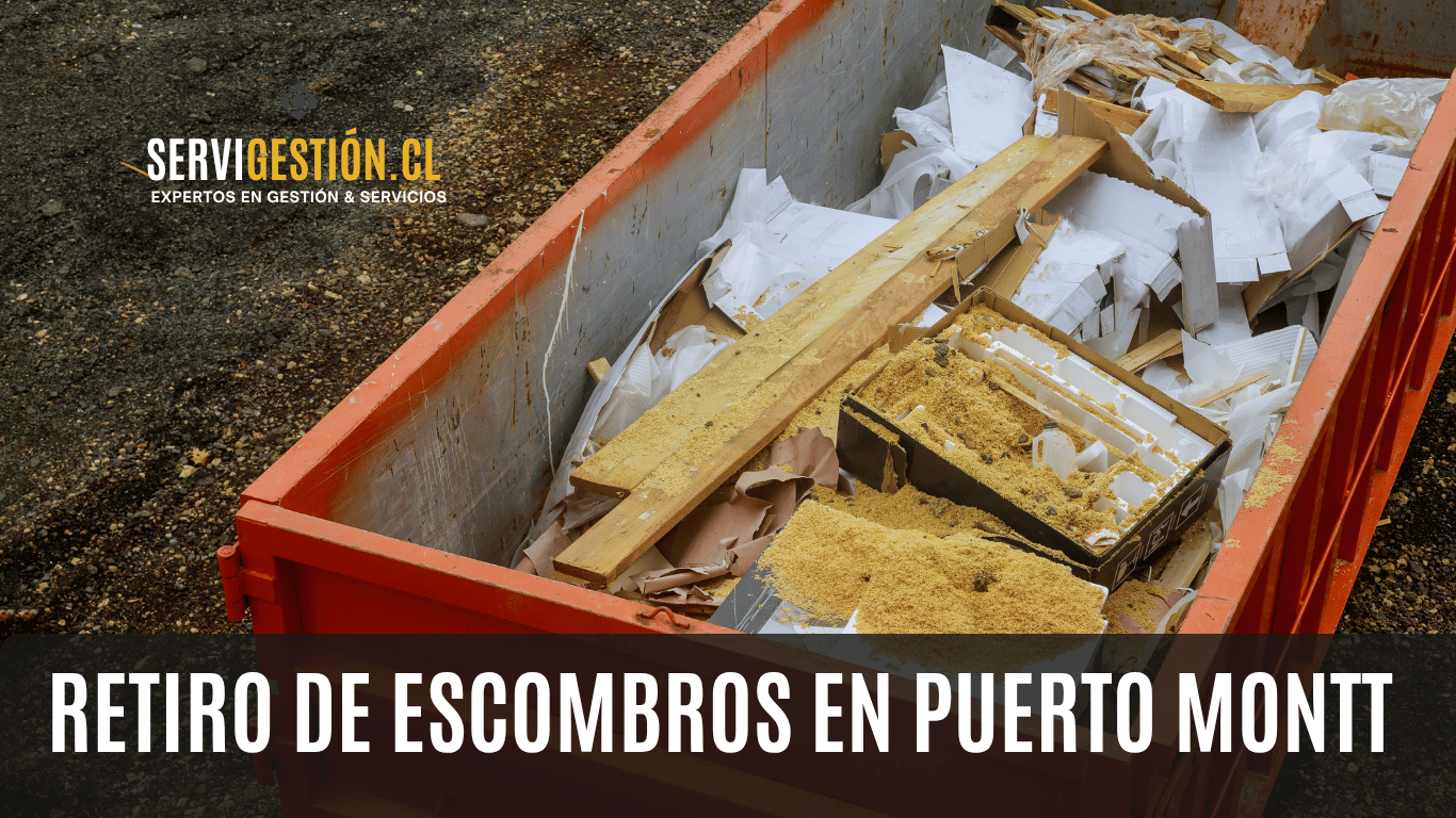 servi gestión